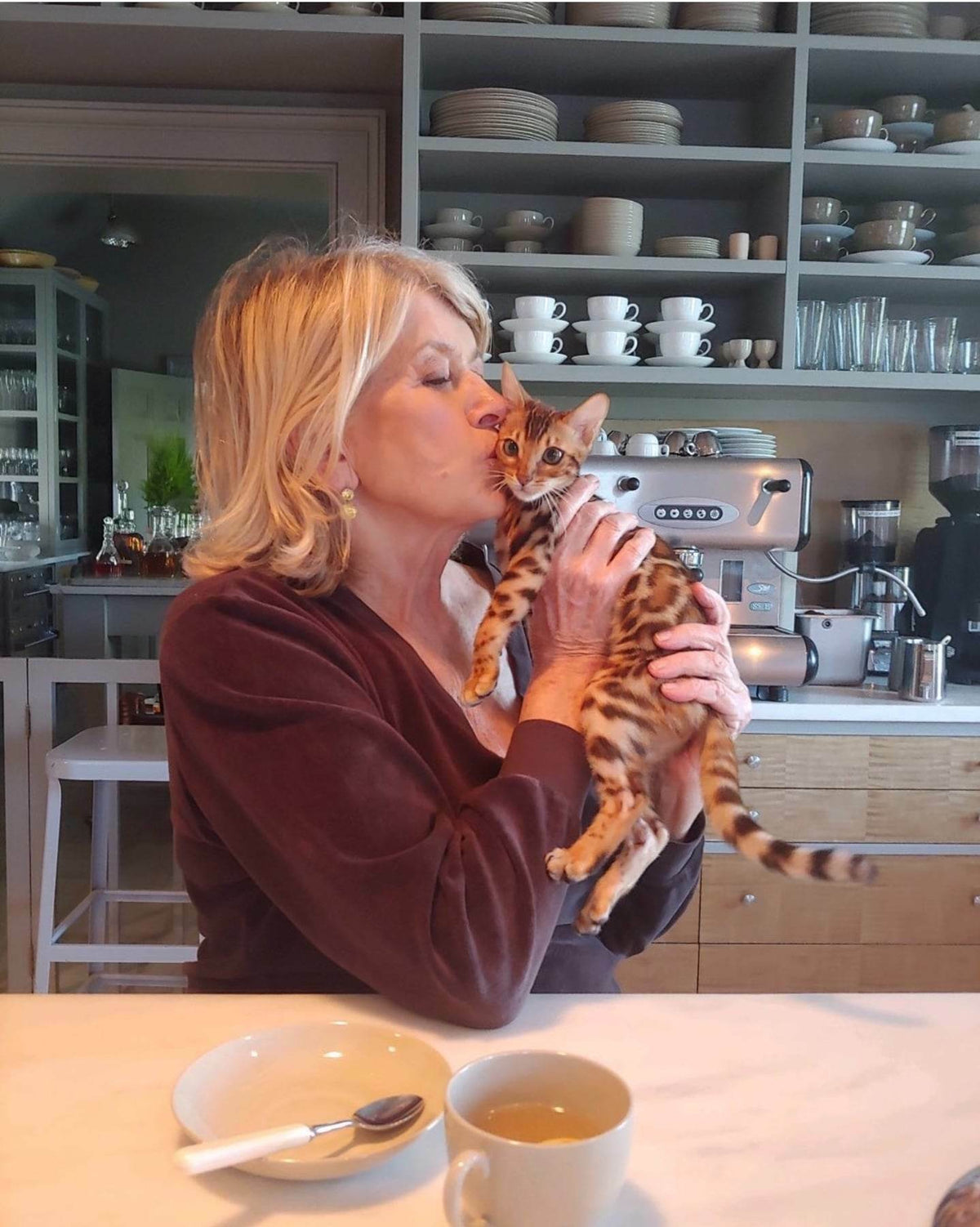 Martha Stewart with a Bimini Cats Bengal kitten, Pretty Litter campaign