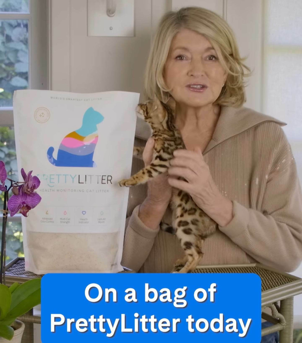 Martha Stewart with a Bimini Cats Bengal kitten, Pretty Litter campaign